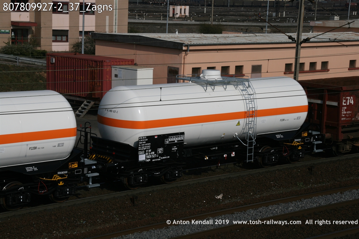 807809927-2_37_Zagns.JPG